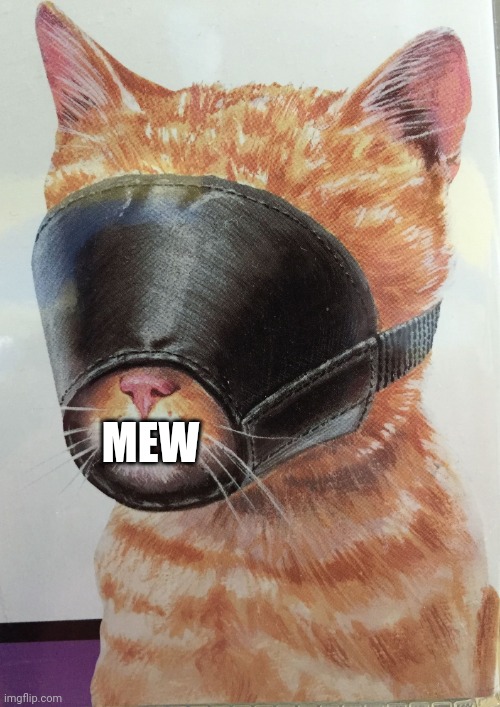 Cat Muzzle | MEW | image tagged in cat muzzle | made w/ Imgflip meme maker