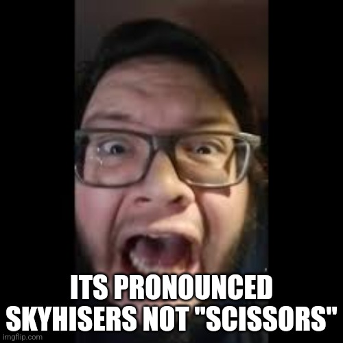 STOP. POSTING. ABOUT AMONG US | ITS PRONOUNCED SKYHISERS NOT "SCISSORS" | image tagged in stop posting about among us | made w/ Imgflip meme maker