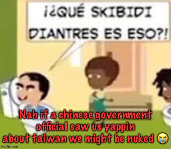 im gonna rail you xd | Nah if a chinese government official saw us yappin about taiwan we might be nuked 😭 | image tagged in im gonna rail you xd | made w/ Imgflip meme maker