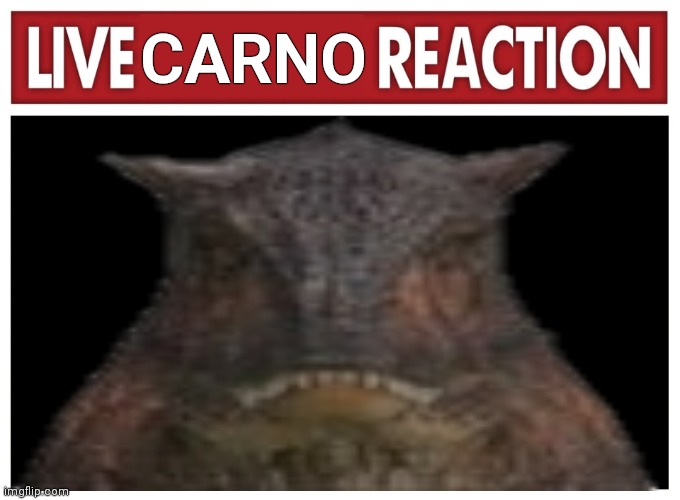 You did not need to say that bro | CARNO | image tagged in live reaction | made w/ Imgflip meme maker