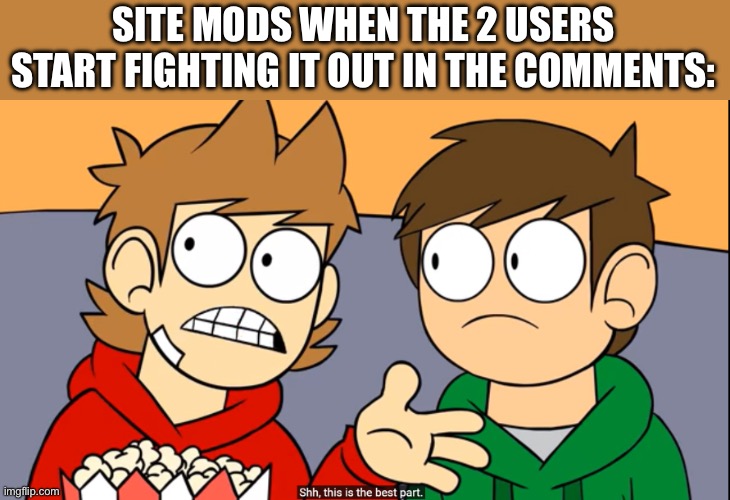 tord shhh this is the best part | SITE MODS WHEN THE 2 USERS START FIGHTING IT OUT IN THE COMMENTS: | image tagged in tord shhh this is the best part | made w/ Imgflip meme maker