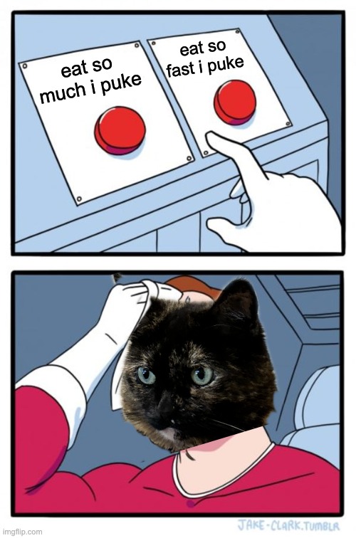 Cat dilemma | eat so fast i puke; eat so much i puke | image tagged in memes,two buttons,cat,puke | made w/ Imgflip meme maker