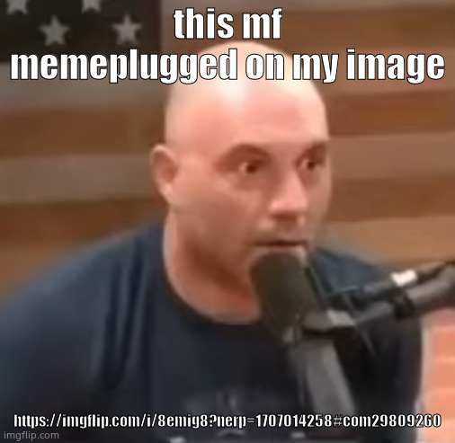 https://imgflip.com/i/8emig8?nerp=1707014258#com29809260 | this mf memeplugged on my image; https://imgflip.com/i/8emig8?nerp=1707014258#com29809260 | image tagged in joe rogan staring | made w/ Imgflip meme maker