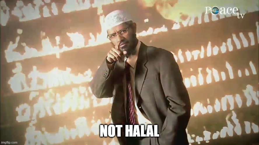 Stay Halal | NOT HALAL | image tagged in stay halal | made w/ Imgflip meme maker