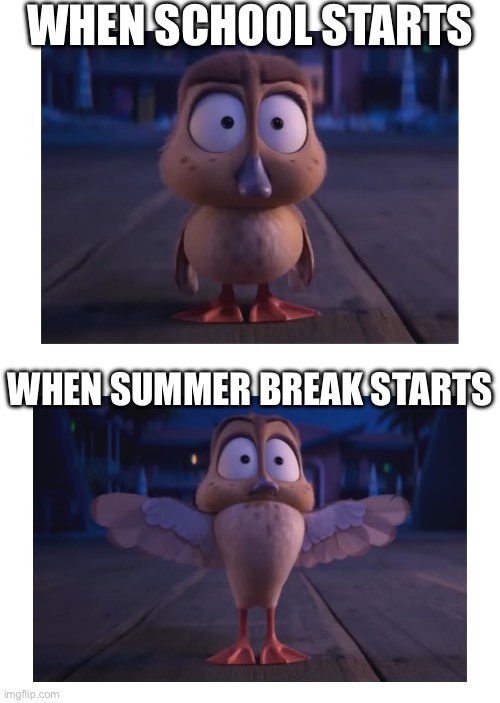 School starting VS summer break starting | WHEN SCHOOL STARTS; WHEN SUMMER BREAK STARTS | image tagged in school memes,back to school,summertime,summer time | made w/ Imgflip meme maker