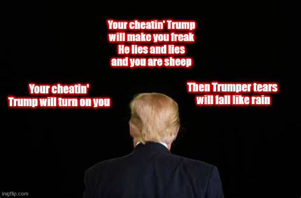 Ya cheatin' Trump | Your cheatin' Trump
will make you freak
He lies and lies
and you are sheep; Your cheatin' Trump will turn on you; Then Trumper tears 
will fall like rain | image tagged in cheatin' trump,backsabber | made w/ Imgflip meme maker