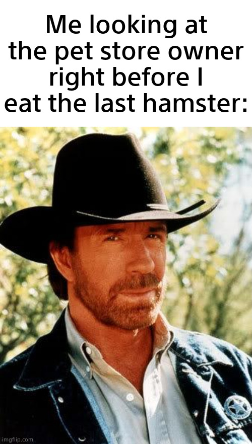 yum | Me looking at the pet store owner right before I eat the last hamster: | image tagged in memes,chuck norris,funny,unnecessary tags | made w/ Imgflip meme maker