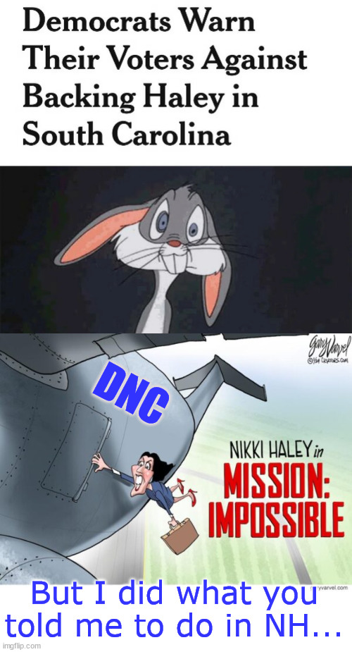 Nikki got ditched by the democrats too.. | DNC; But I did what you told me to do in NH... | image tagged in dnc,ditches,nikki haley,no more crossovers | made w/ Imgflip meme maker