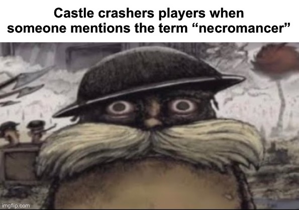 ptsd lorax | Castle crashers players when someone mentions the term “necromancer” | image tagged in ptsd lorax | made w/ Imgflip meme maker