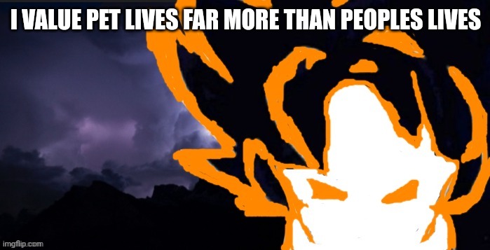 LowTeirGoob | I VALUE PET LIVES FAR MORE THAN PEOPLES LIVES | image tagged in lowteirgoob | made w/ Imgflip meme maker