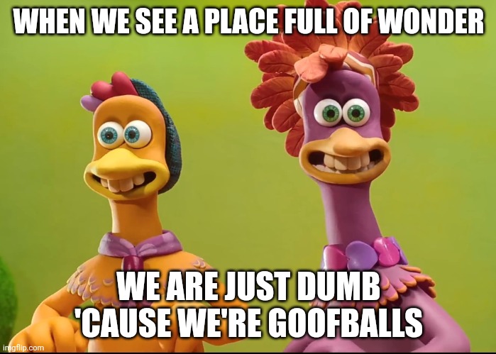 Goofball chickens | WHEN WE SEE A PLACE FULL OF WONDER; WE ARE JUST DUMB 'CAUSE WE'RE GOOFBALLS | image tagged in molly and frizzle excited | made w/ Imgflip meme maker