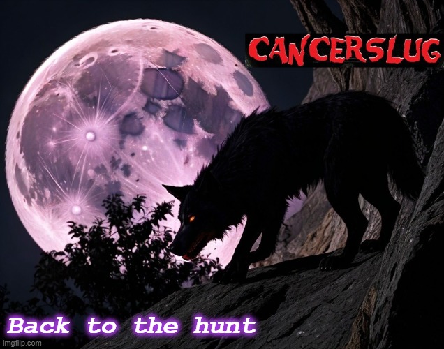 The Hunt | Back to the hunt | image tagged in the hunt,cancerslug,stormofhatredredux,moonlightmartyrs | made w/ Imgflip meme maker