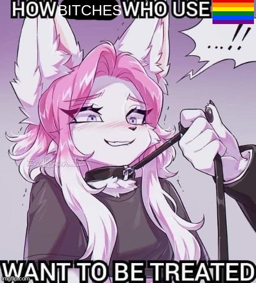 how girls that use :3 want to be treated blank | BITCHES | image tagged in how girls that use 3 want to be treated blank | made w/ Imgflip meme maker