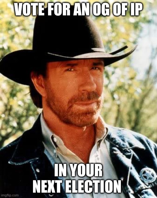Might as well run. Haven’t won yet, probably continuing that | VOTE FOR AN OG OF IP; IN YOUR NEXT ELECTION | image tagged in memes,chuck norris | made w/ Imgflip meme maker