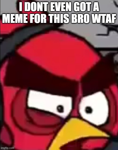 post below | I DONT EVEN GOT A MEME FOR THIS BRO WTAF | image tagged in angry birds | made w/ Imgflip meme maker