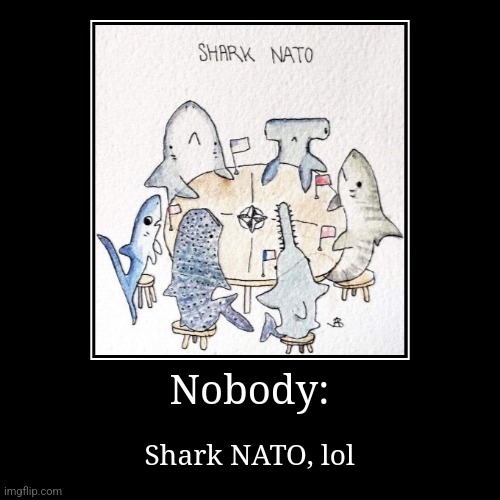 Shark NATO | Nobody: | Shark NATO, lol | image tagged in funny,demotivationals,puns,jpfan102504,jokes | made w/ Imgflip demotivational maker