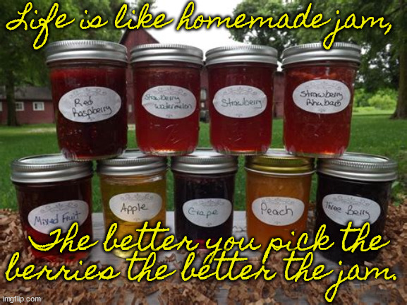 Your Choice | Life is like homemade jam, The better you pick the berries the better the jam. | image tagged in donald trump,joe biden,nikki haley,nancy pelosi,jimmy carter,ronald reagan | made w/ Imgflip meme maker