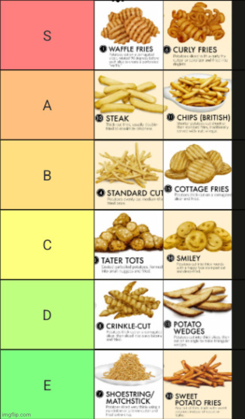 tater tots are just hash brown nuggets | image tagged in french fry tier list | made w/ Imgflip meme maker
