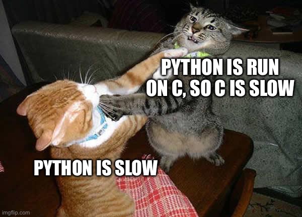 Two cats fighting for real | PYTHON IS RUN ON C, SO C IS SLOW; PYTHON IS SLOW | image tagged in two cats fighting for real,computer,programming,programmers,computer guy facepalm,computers | made w/ Imgflip meme maker