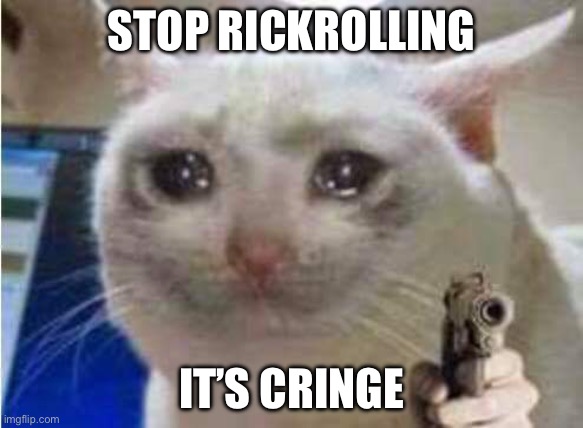 Sad cat with gun | STOP RICKROLLING; IT’S CRINGE | image tagged in sad cat with gun,stop,stop reading the tags,cringe,oh no cringe | made w/ Imgflip meme maker