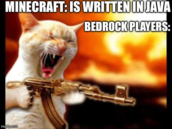 cat with gun | MINECRAFT: IS WRITTEN IN JAVA; BEDROCK PLAYERS: | image tagged in cat with gun,oops,minecraft,gaming,programming,stupid people | made w/ Imgflip meme maker