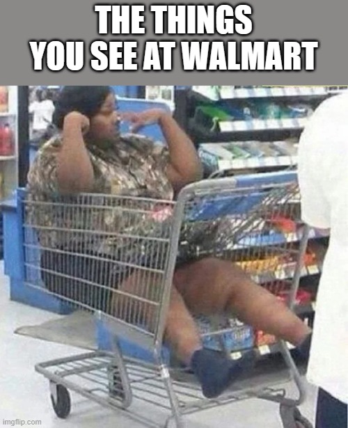 The Things You See At Walmart | THE THINGS YOU SEE AT WALMART | image tagged in walmart,people of walmart,walmart life,buggy,funny,meme | made w/ Imgflip meme maker