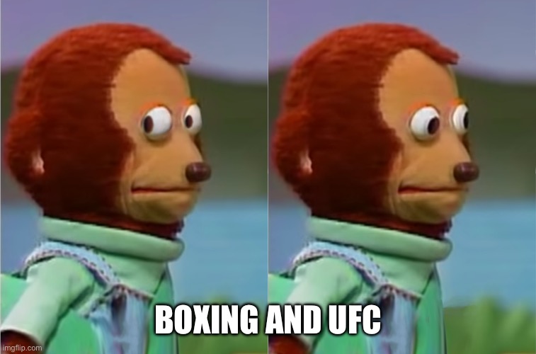 puppet Monkey looking away | BOXING AND UFC | image tagged in puppet monkey looking away | made w/ Imgflip meme maker