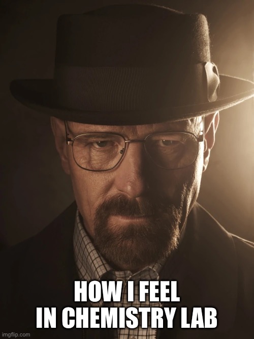 walter white | HOW I FEEL IN CHEMISTRY LAB | image tagged in walter white | made w/ Imgflip meme maker