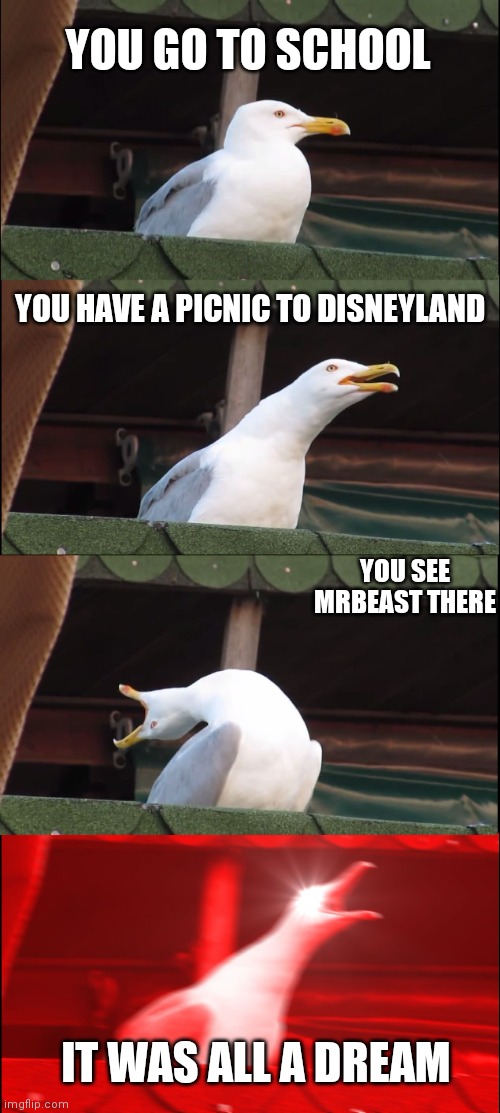 Inhaling Seagull | YOU GO TO SCHOOL; YOU HAVE A PICNIC TO DISNEYLAND; YOU SEE MRBEAST THERE; IT WAS ALL A DREAM | image tagged in memes,inhaling seagull | made w/ Imgflip meme maker