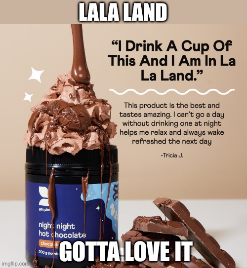 LaLa Land | LALA LAND; GOTTA LOVE IT | image tagged in imgflip users,la la land | made w/ Imgflip meme maker