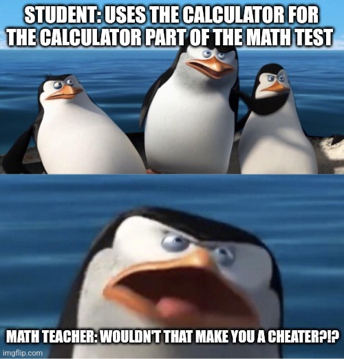 A cheater??? | STUDENT: USES THE CALCULATOR FOR THE CALCULATOR PART OF THE MATH TEST; MATH TEACHER: WOULDN'T THAT MAKE YOU A CHEATER?!? | image tagged in wouldn't that make you,school,jpfan102504 | made w/ Imgflip meme maker