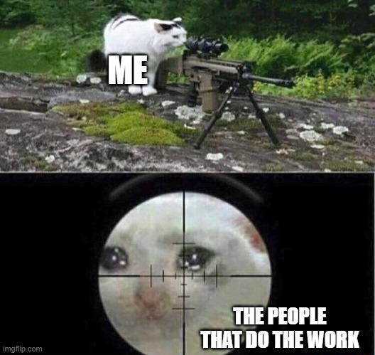 ME THE PEOPLE THAT DO THE WORK | image tagged in sniper cat | made w/ Imgflip meme maker