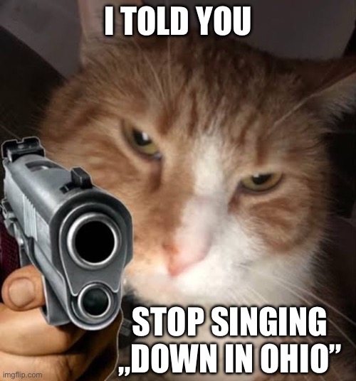 Cat with gun | I TOLD YOU; STOP SINGING „DOWN IN OHIO” | image tagged in cat with gun,stop,oh wow are you actually reading these tags,never gonna give you up,shooting,dies from cringe | made w/ Imgflip meme maker