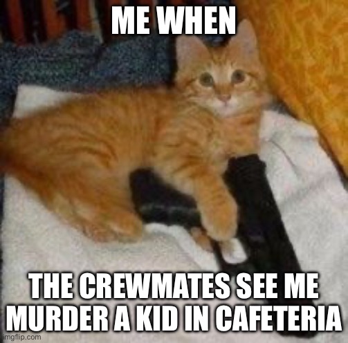 Cat With A Gun | ME WHEN; THE CREWMATES SEE ME MURDER A KID IN CAFETERIA | image tagged in cat with a gun,among us,oops,caught,kill | made w/ Imgflip meme maker