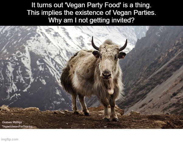 Real Food | image tagged in vegan,veganism,plantbased,soya,gmo fruits vegetables,chips | made w/ Imgflip meme maker