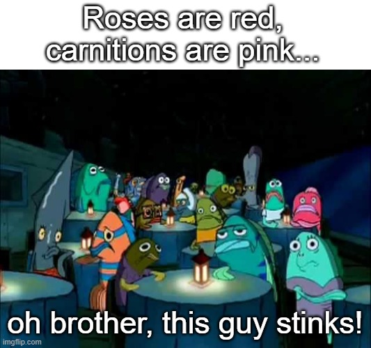 :v | Roses are red,
carnitions are pink... oh brother, this guy stinks! | image tagged in oh brother this guy stinks,fun,dark,spongebob,valentine's day | made w/ Imgflip meme maker