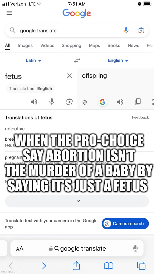 WHEN THE PRO-CHOICE SAY ABORTION ISN’T THE MURDER OF A BABY BY SAYING IT’S JUST A FETUS | image tagged in google translare,fetus | made w/ Imgflip meme maker
