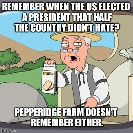 Because Nobody Else is Willing to Say it | REMEMBER WHEN THE US ELECTED A PRESIDENT THAT HALF THE COUNTRY DIDN'T HATE? PEPPERIDGE FARM DOESN'T REMEMBER EITHER. | image tagged in memes,pepperidge farm remembers | made w/ Imgflip meme maker