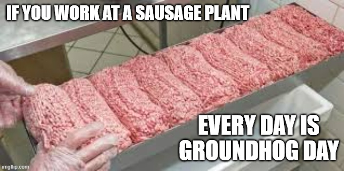 meme by Brad Groundhog day funny meme | IF YOU WORK AT A SAUSAGE PLANT; EVERY DAY IS GROUNDHOG DAY | image tagged in fun,funny meme,groundhog day,humor,funny | made w/ Imgflip meme maker