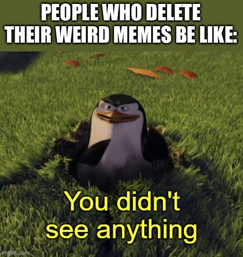 You didn't see anything | PEOPLE WHO DELETE THEIR WEIRD MEMES BE LIKE: | image tagged in you didn't see anything | made w/ Imgflip meme maker