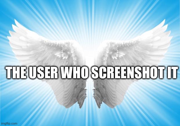 Angels | THE USER WHO SCREENSHOT IT | image tagged in angels | made w/ Imgflip meme maker