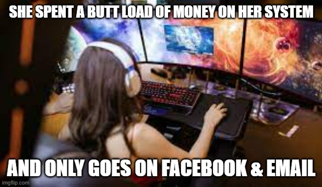meme by Brad expensive pc used only for facebook | SHE SPENT A BUTT LOAD OF MONEY ON HER SYSTEM; AND ONLY GOES ON FACEBOOK & EMAIL | image tagged in gaming,pc gaming,video games,funny meme,facebook,humor | made w/ Imgflip meme maker