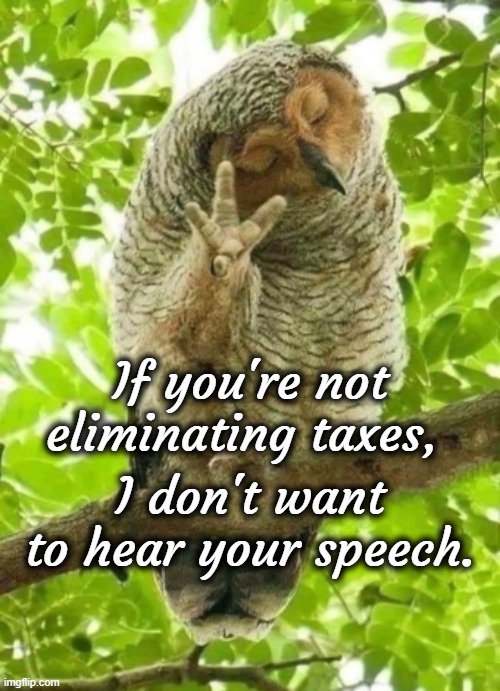 If you're not eliminating taxes, I don't want to hear your speech. | image tagged in taxes | made w/ Imgflip meme maker