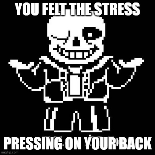 POV: You have 2 days to study for a hard exam | YOU FELT THE STRESS; PRESSING ON YOUR BACK | image tagged in sans undertale | made w/ Imgflip meme maker