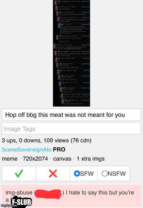 @spire sorry that guy said that | F-SLUR | made w/ Imgflip meme maker