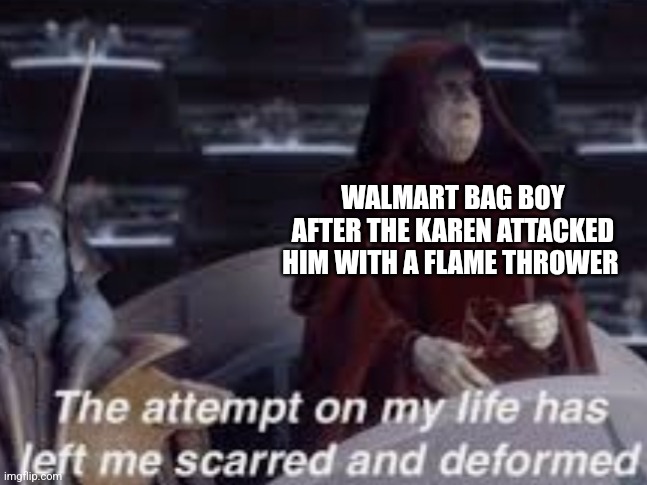 A Karen attacked you with wut??? | WALMART BAG BOY AFTER THE KAREN ATTACKED HIM WITH A FLAME THROWER | image tagged in the attempt on my life has left me scarred and deformed,jpfan102504,karens | made w/ Imgflip meme maker