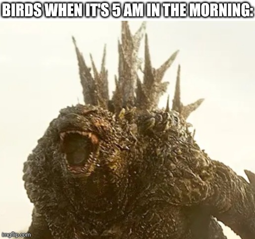 Blank White Template | BIRDS WHEN IT'S 5 AM IN THE MORNING: | image tagged in blank white template,birds,relatable | made w/ Imgflip meme maker