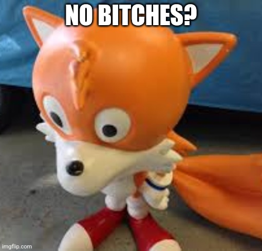 No bitches tails | NO BITCHES? | image tagged in tails the fox,sonic the hedgehog,no bitches | made w/ Imgflip meme maker