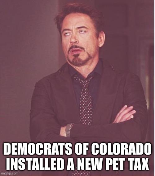 More taxes | DEMOCRATS OF COLORADO INSTALLED A NEW PET TAX | image tagged in memes,face you make robert downey jr | made w/ Imgflip meme maker