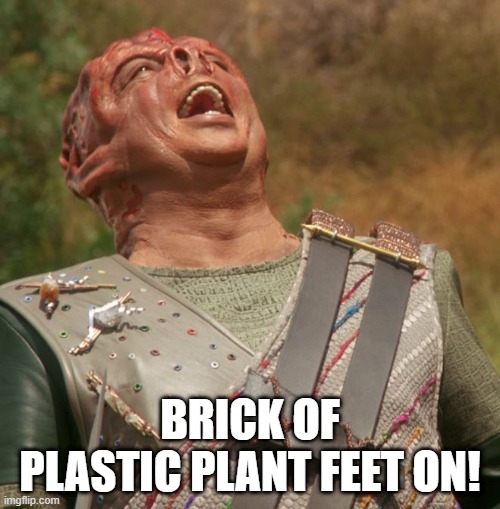He Stepped on a Lego | BRICK OF PLASTIC PLANT FEET ON! | image tagged in star trek dathon | made w/ Imgflip meme maker